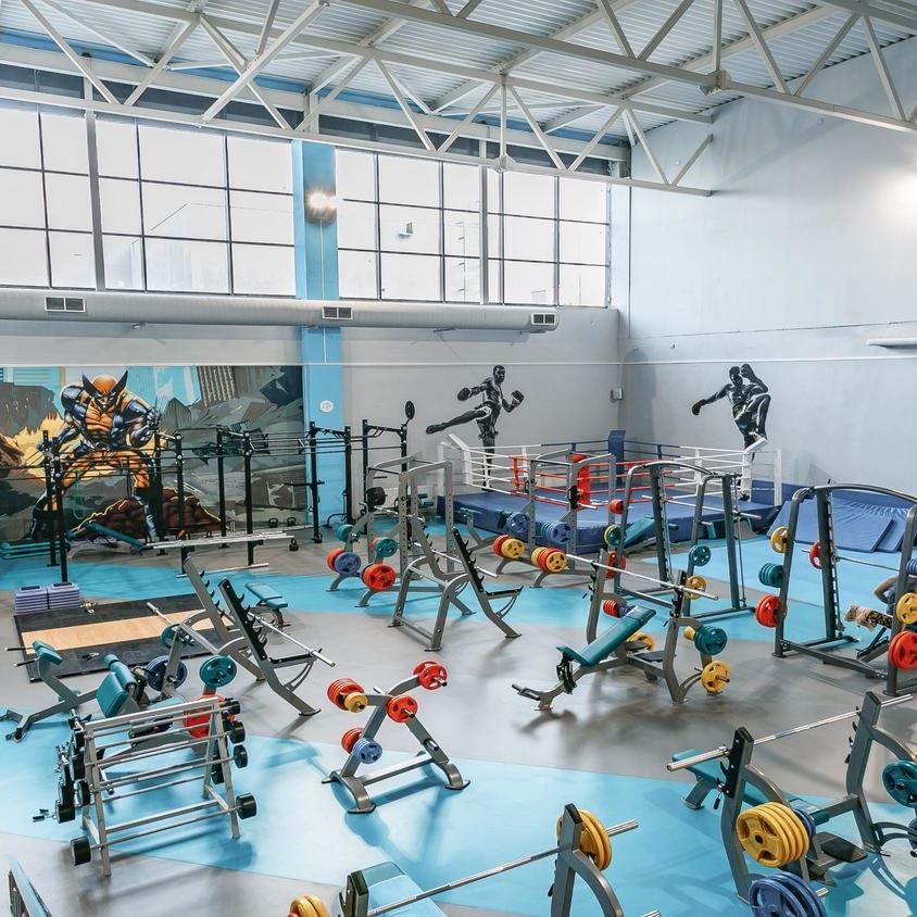 Спортивний лінолеум Tarkett OMNISPORTS V83